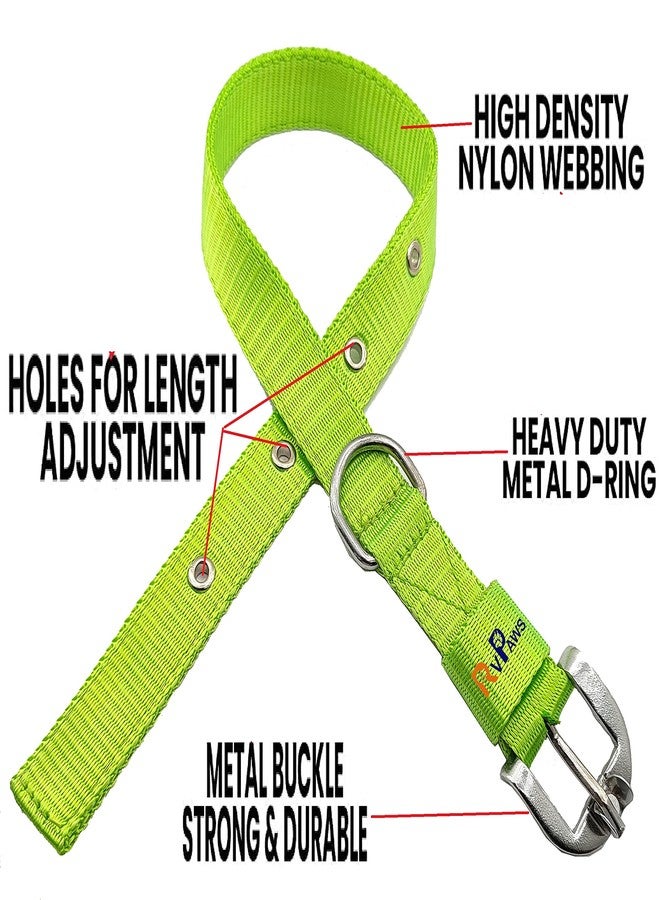 Pups&Pets Dog Belt Combo of 1 Inch Nylon Collar with Heavy Dog Chain 63 Inch Lengthy Dog Collar Chain (Large Size) - Parrot Green - Image 3